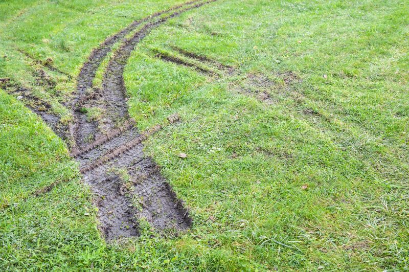 Lawn Rut Repair