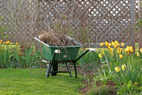 Flower Bed Cleanup Service in Irvine