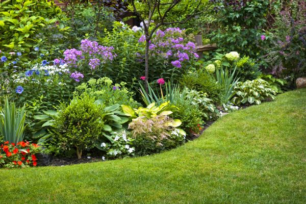 Flower Bed Service in Irvine