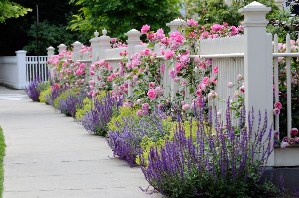 Garden Handyman Service in Irvine