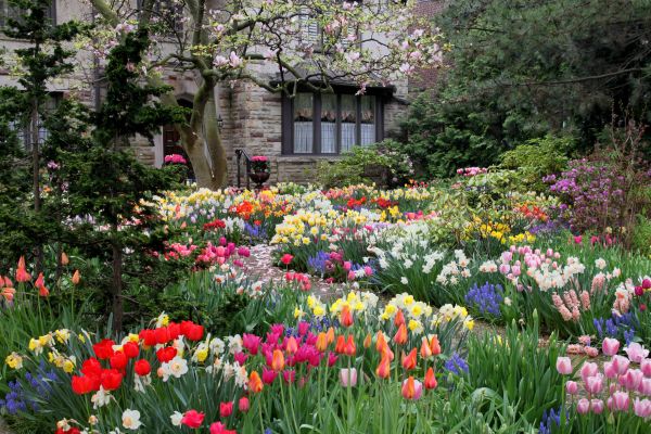 Garden Maintenance Service in Irvine