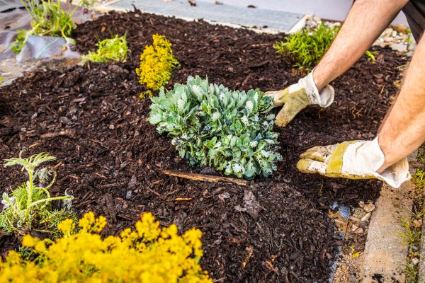 Weeding And Mulching in Irvine