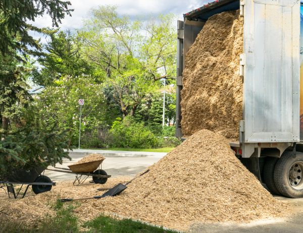 Wood Chips Delivery in Irvine