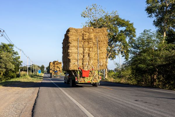 Pine Straw Delivery in Irvine