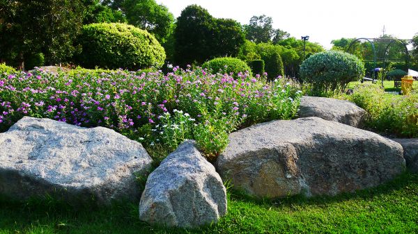 Boulder Landscaping in Irvine