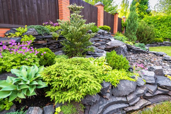 Landscape Remodeling in Irvine