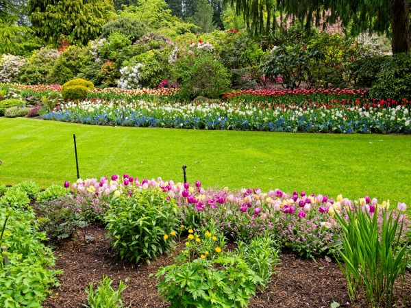 Residential Landscape Design in Irvine