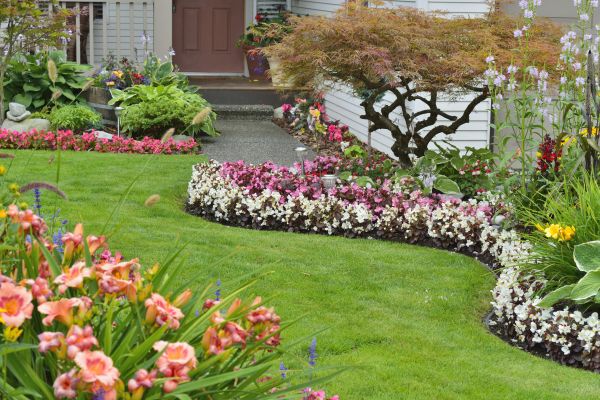 Perennial Landscaping in Irvine