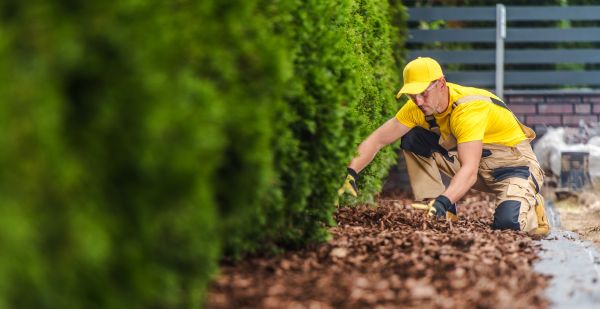 Cypress Mulch Installation in Irvine