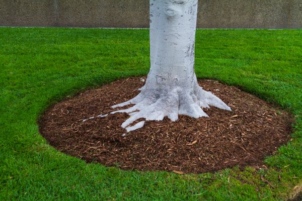 Brown Mulch Installation in Irvine