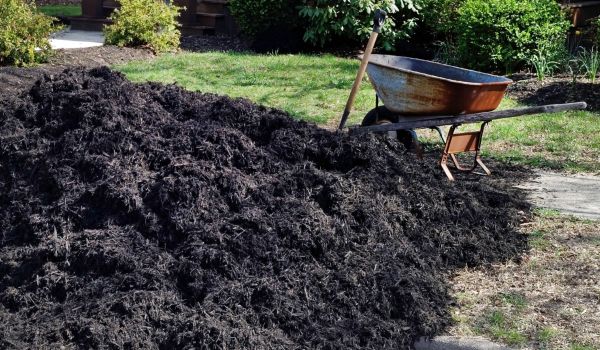 Black Mulch Installation in Irvine