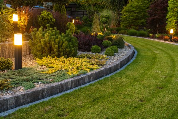 Garden Repair Service in Irvine