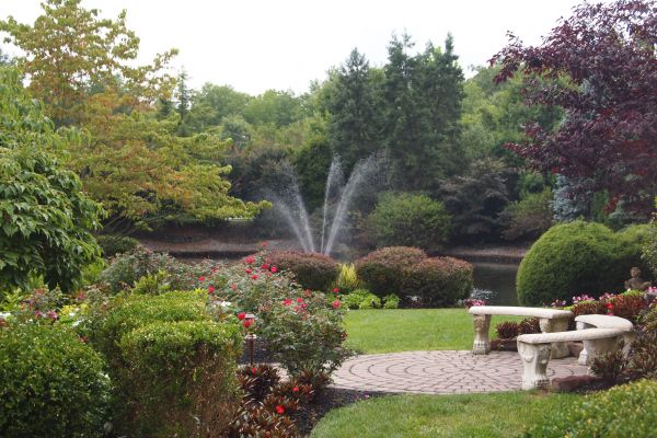 Courtyard Design Service in Irvine