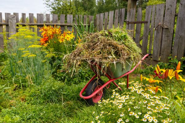 Garden Cleanup Service in Irvine