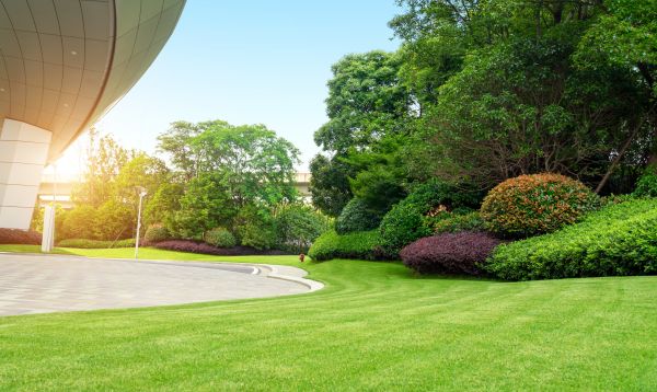 Business Landscape Design in Irvine