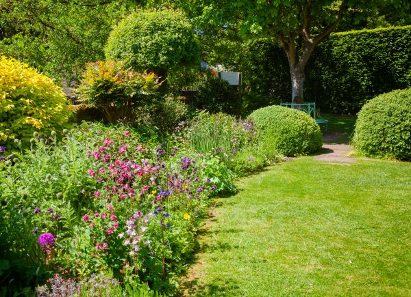 Yard Landscaping Service in Irvine