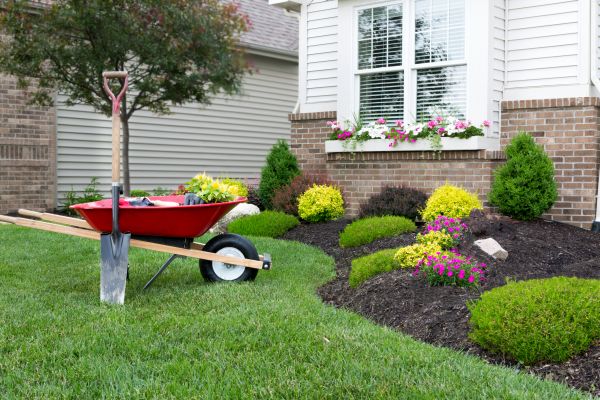 Tree And Shrub Planting in Irvine