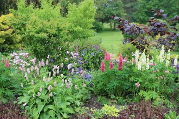 Flower Bed Planting in Irvine