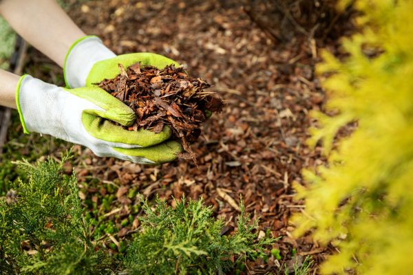 Garden Mulch Delivery in Irvine