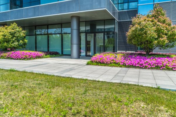 Commercial Gardening in Irvine