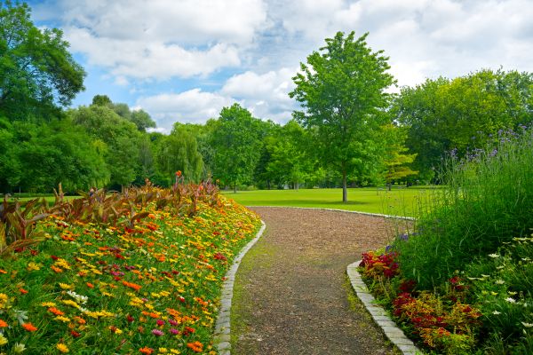 Park Landscaping in Irvine