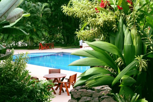 Tropical Garden Landscaping in Irvine