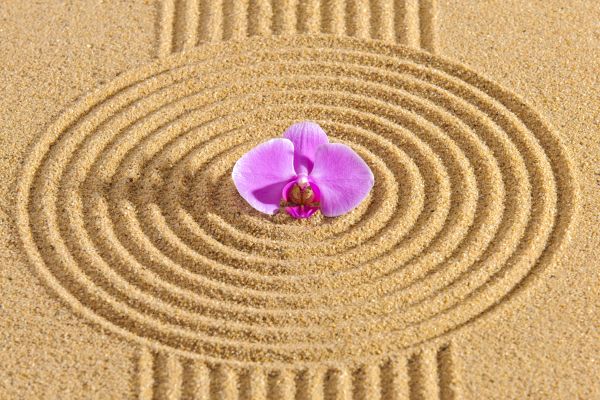 Sand Garden Landscaping in Irvine
