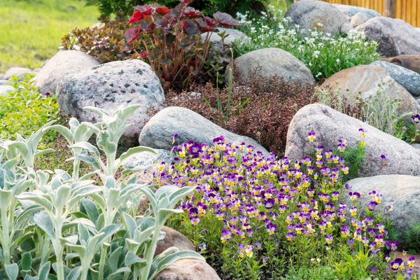 Rock Garden Installation in Irvine