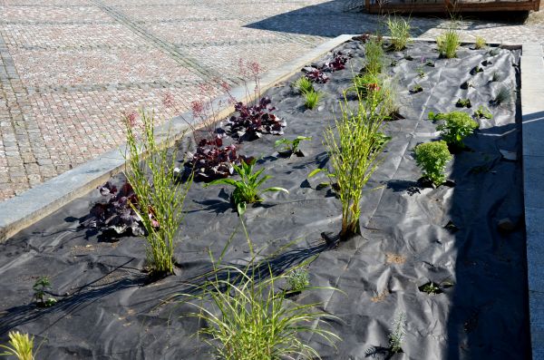 Landscape Fabric Installation in Irvine