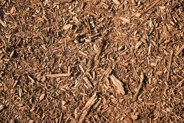 Wood Chips Removal in Irvine