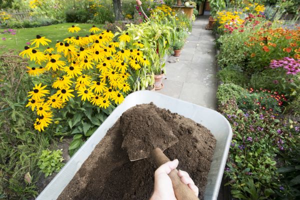 Topsoil Replacement in Irvine