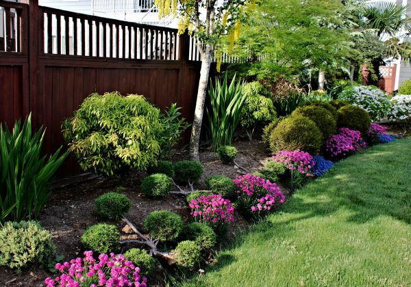 Garden Bed Construction in Irvine
