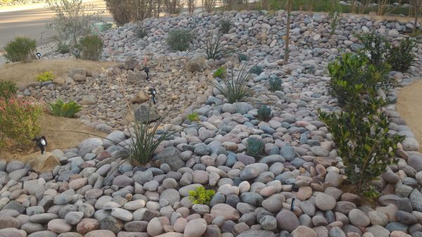 Yard Xeriscaping in Irvine
