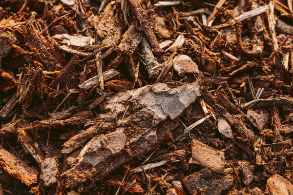 Bark Mulch Delivery in Irvine