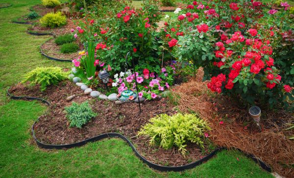 Floral Landscaping in Irvine