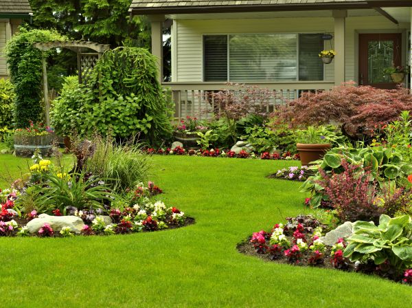 Flower Garden Planting in Irvine