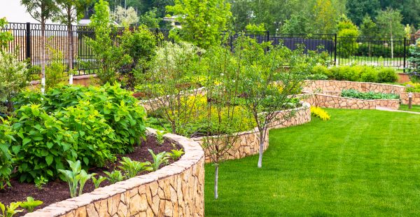 Yard Makeover Service in Irvine