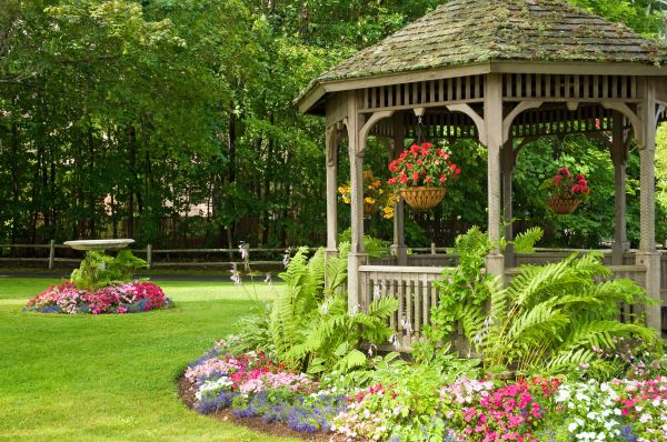 Backyard Landscaping Service in Irvine