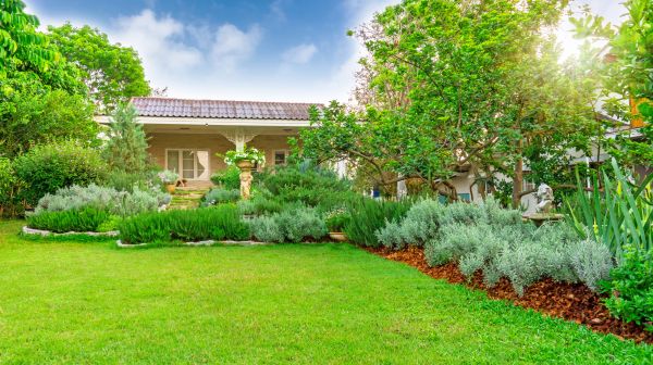 Greenery Planting in Irvine