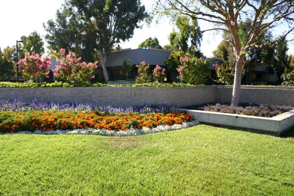 Commercial Landscape Service in Irvine