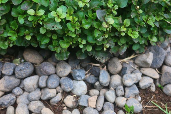 River Stone Installation in Irvine