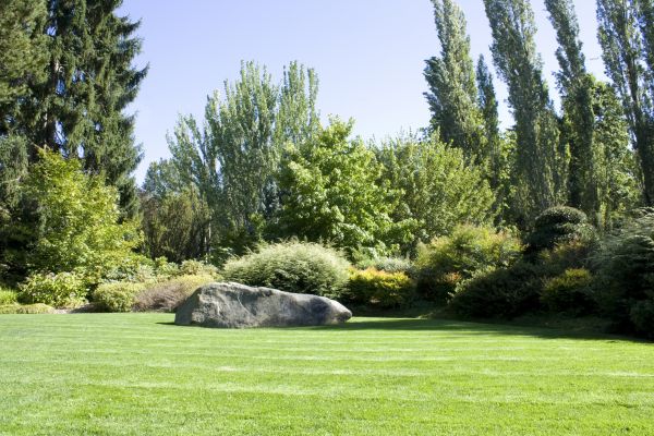 Yard Enlargement in Irvine
