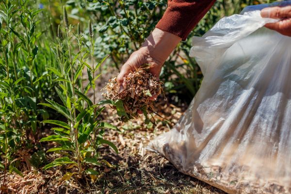 Wood Mulch Installation in Irvine