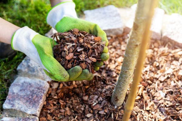 Tree Bark Delivery in Irvine