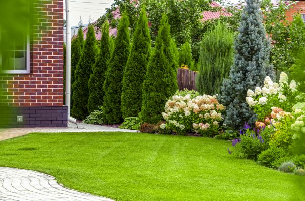 Spring Landscaping in Irvine