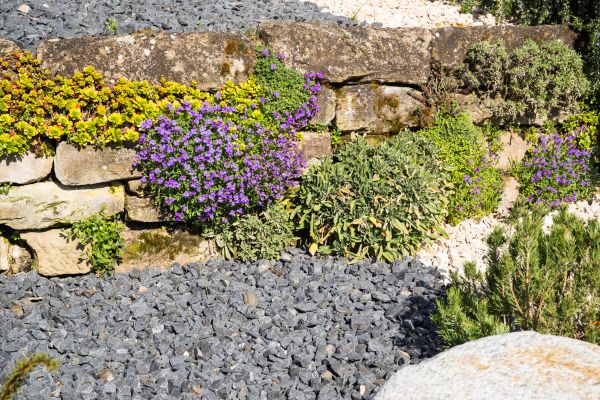 Landscaping Rocks Installation in Irvine