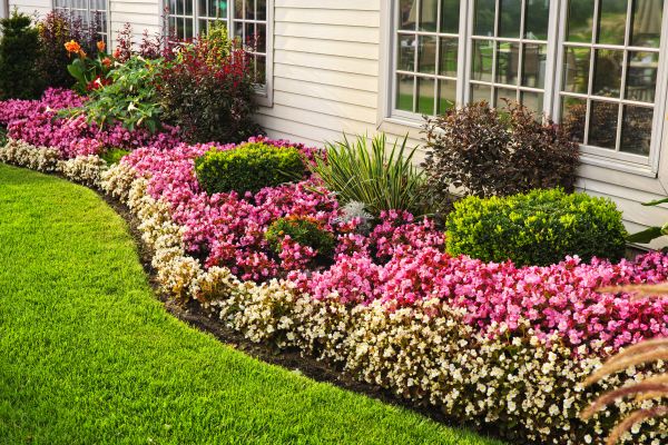 Garden Landscape Design in Irvine