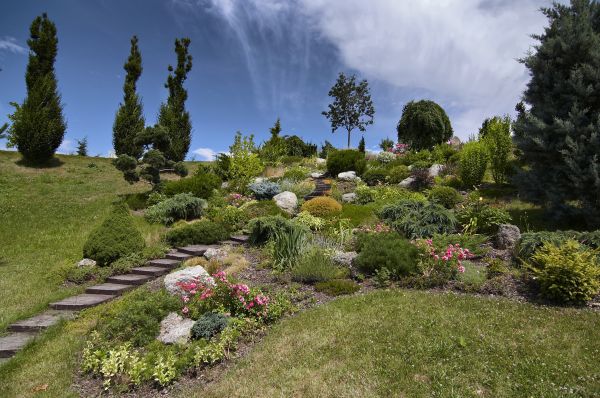 Steep Terrain Landscaping in Irvine
