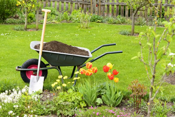 Spring Yard Renovation in Irvine