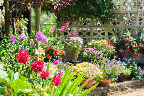 Spring Garden Maintenance in Irvine